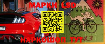 дмт Краснодар