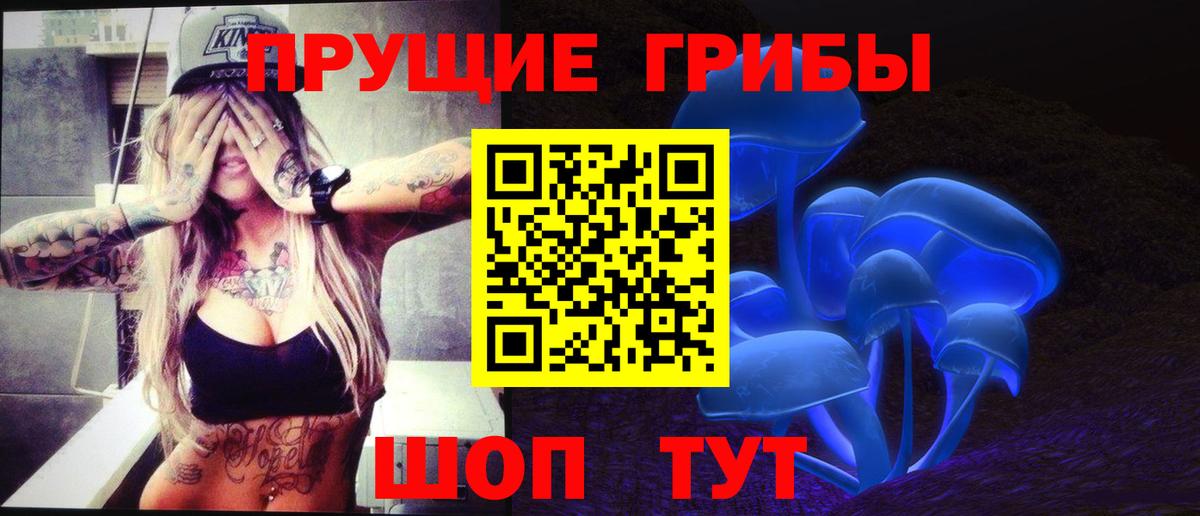 Псилоцибиновые грибы ЛСД  Вход с VPN  Псилоцибиновые грибы прущие грибы  Калач-на-Дону 